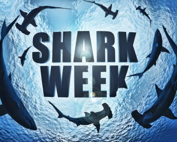 Students engaged in a reading comprehension activity about shark myths for Shark Week, with a shark illustration visible.