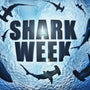 Students engaged in a reading comprehension activity about shark myths for Shark Week, with a shark illustration visible.