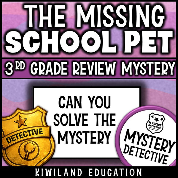 3rd grade math review detective centers early finishers sub plans homework