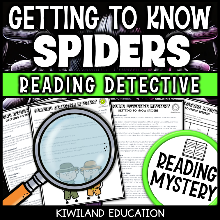 Halloween or year-round non-fiction reading activity on spiders for literacy practice