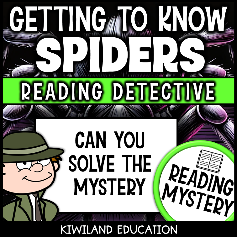 Printable spider comprehension activity with open-ended questions and word search