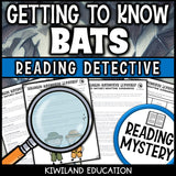 Printable nonfiction bats reading comprehension passage activity for grades 3-6