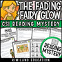 Fairies fiction reading mystery cover for grades 3-6